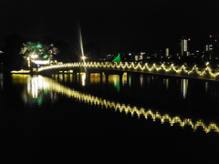 大濠公園とイルミ⑤