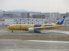 C-3PO福岡へ飛来④