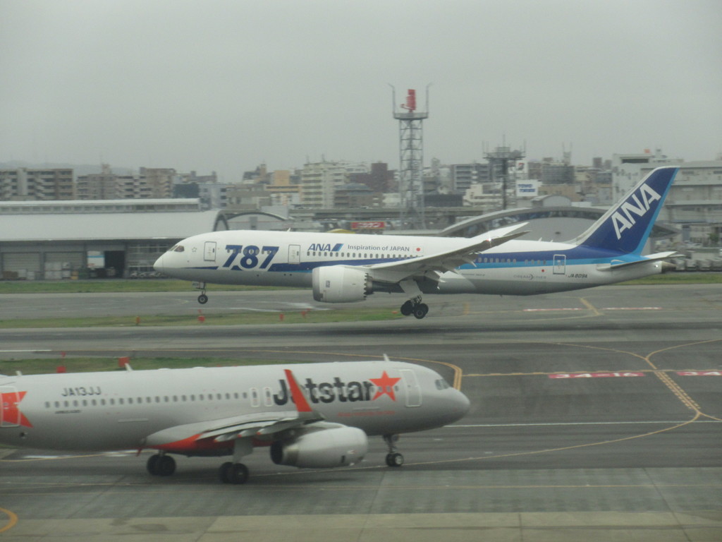 ANA　B787の着陸