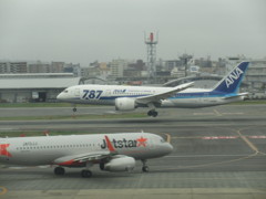ANA　B787の着陸