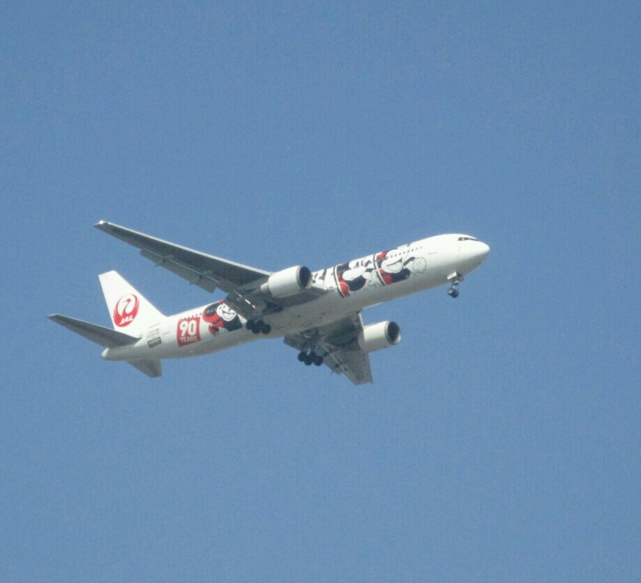 JA602J　JALのミッキージェット