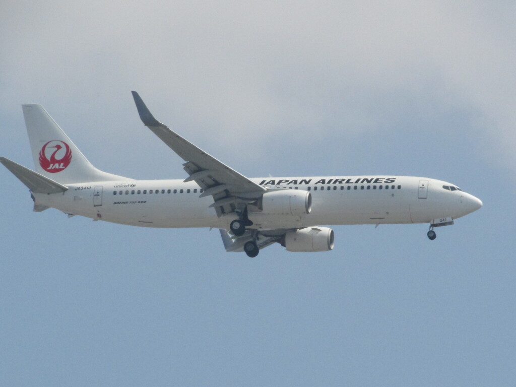 JAL　福岡空港にて　③