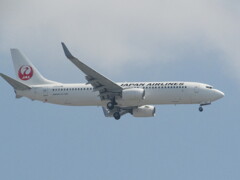 JAL　福岡空港にて　③