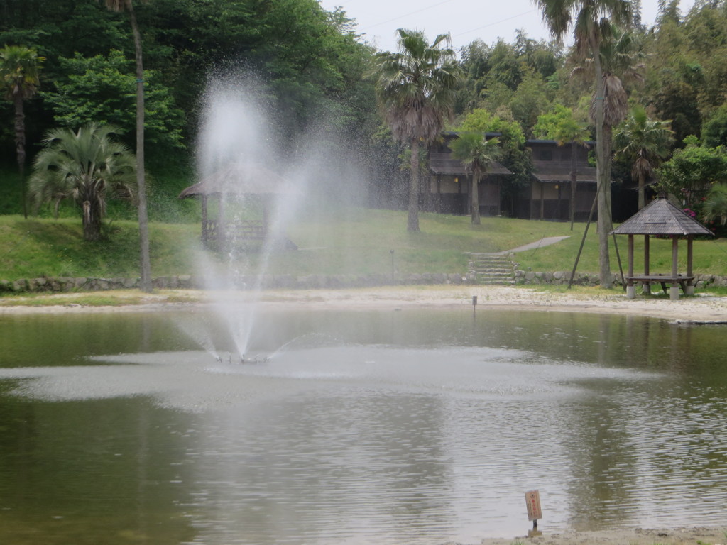噴水の上がる池の光景