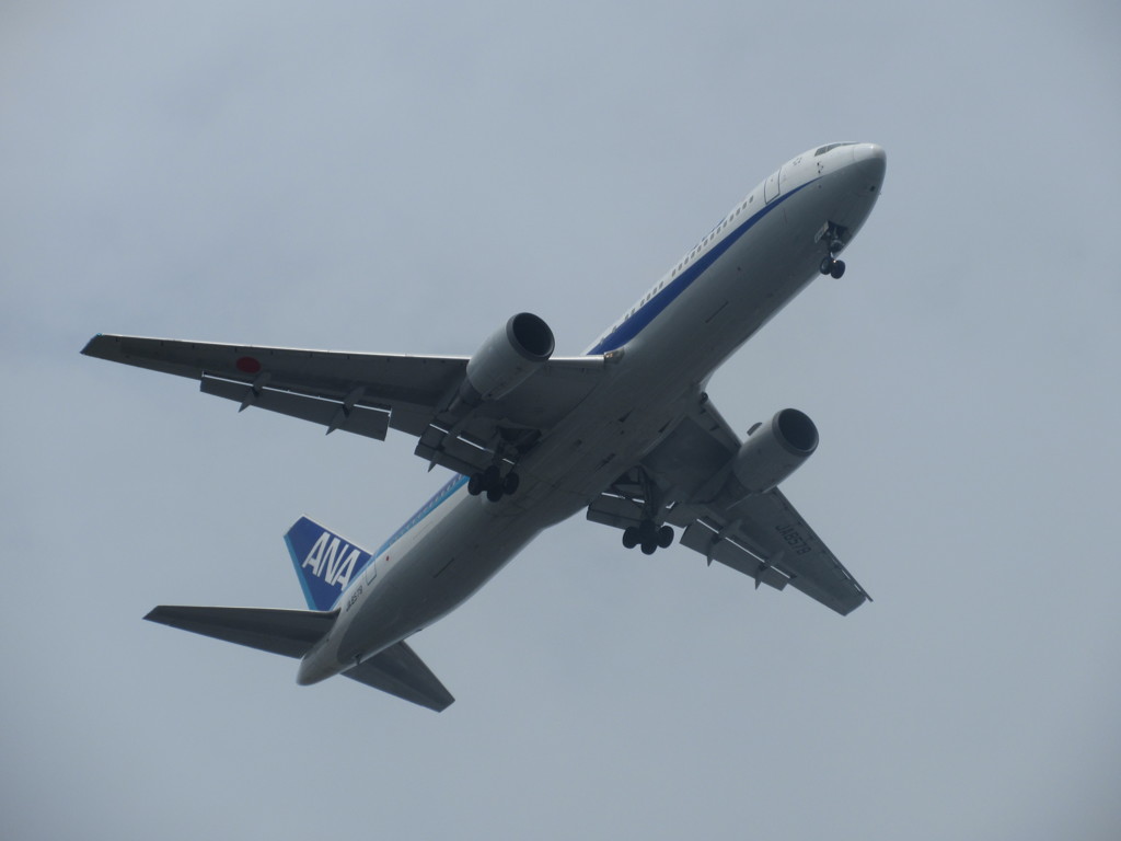 ANA B767-300