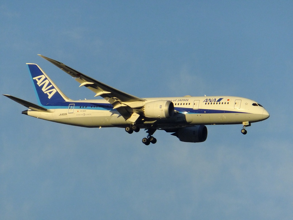 ANA  B787-8　①