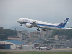 ANAロゴ無し787  その2