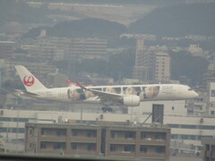 JAL  A350-900　福岡空港