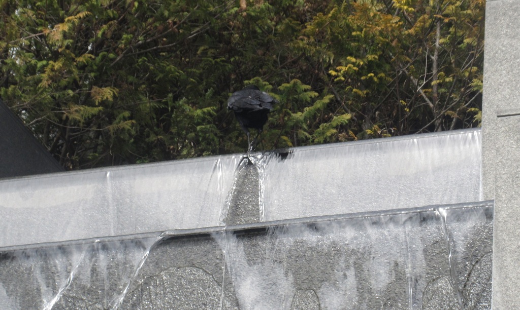 喫茶店の天井から流れ落ちる水①