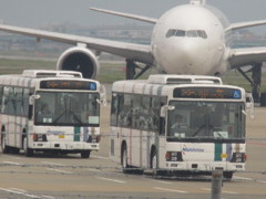 SFJの乗客を乗せたランプバス。