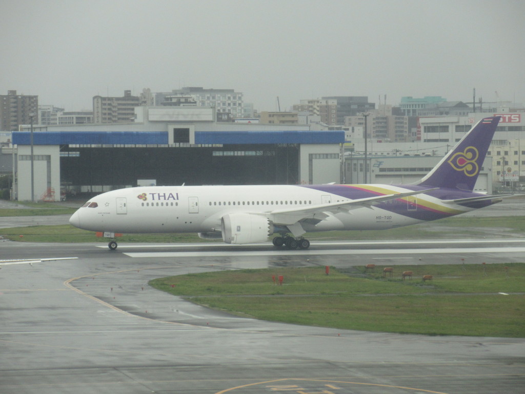 タイ国際　B787-8離陸①