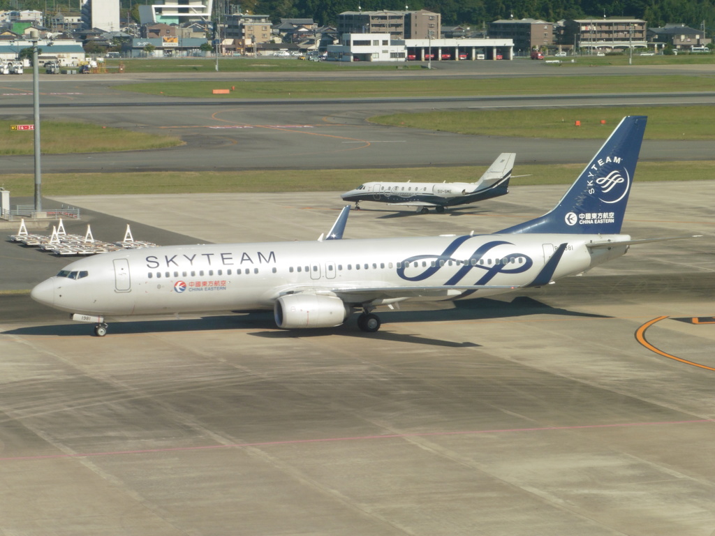 中国東方航空　B737-800  B-1981 SKYTEAM