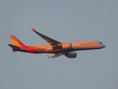 ASIANA  A350  夕暮れのランディング