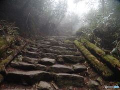 霧のかかった山道①