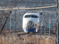 博多南車両基地に保存された0系②