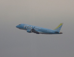 離陸　FDAライトブルー