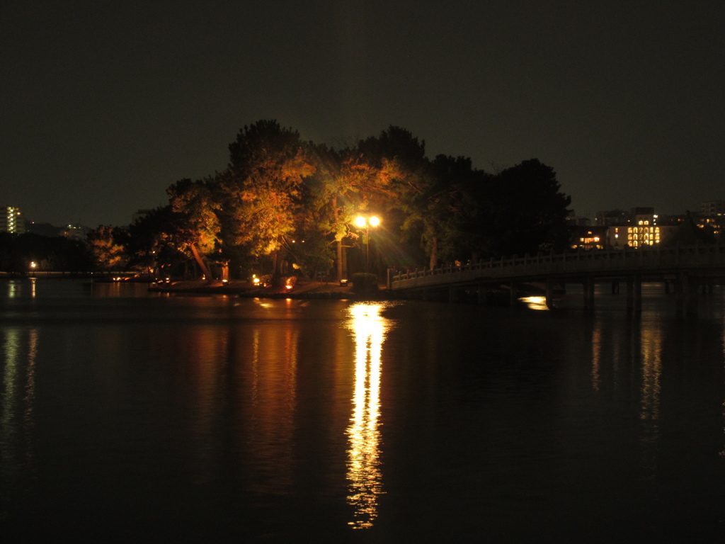 夜の大濠公園②