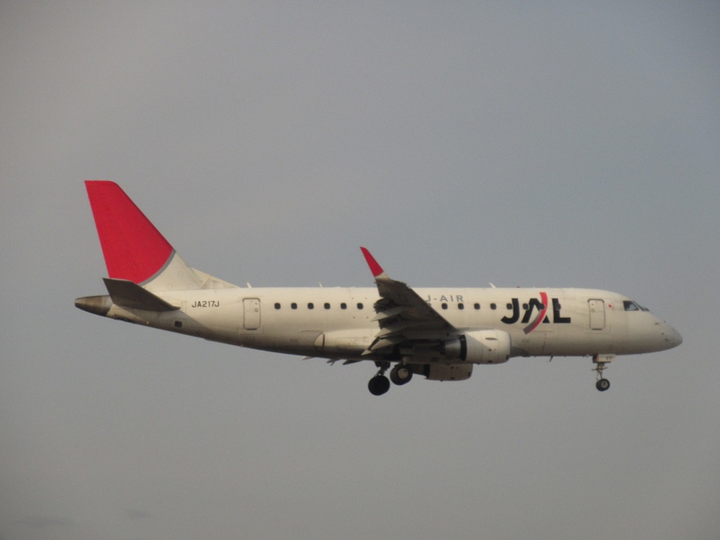 真横から見た着陸②