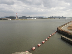 遠賀川河川敷④