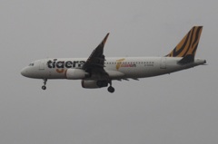 tiger air  B-50006