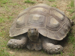GWラスト海の中道海浜公園にて　21