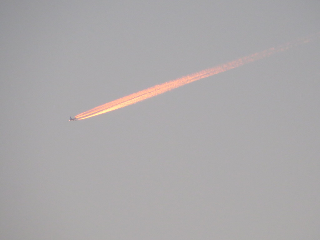 夕焼け色に染まる飛行機雲