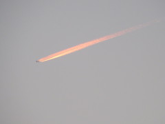 夕焼け色に染まる飛行機雲