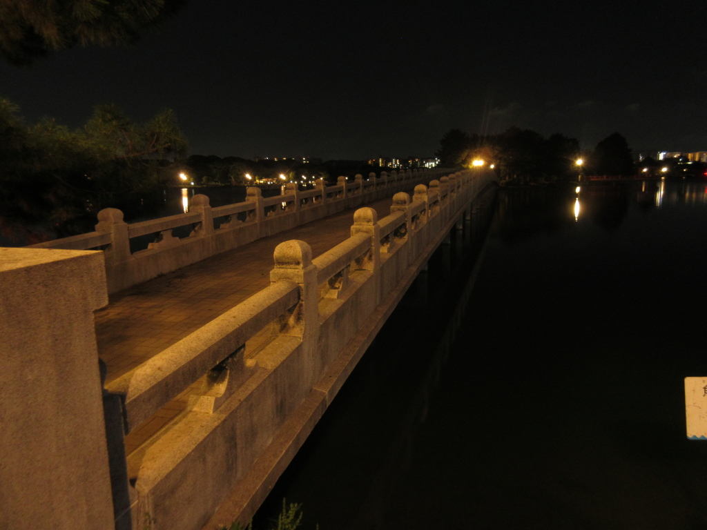 夜の大濠公園　⑥