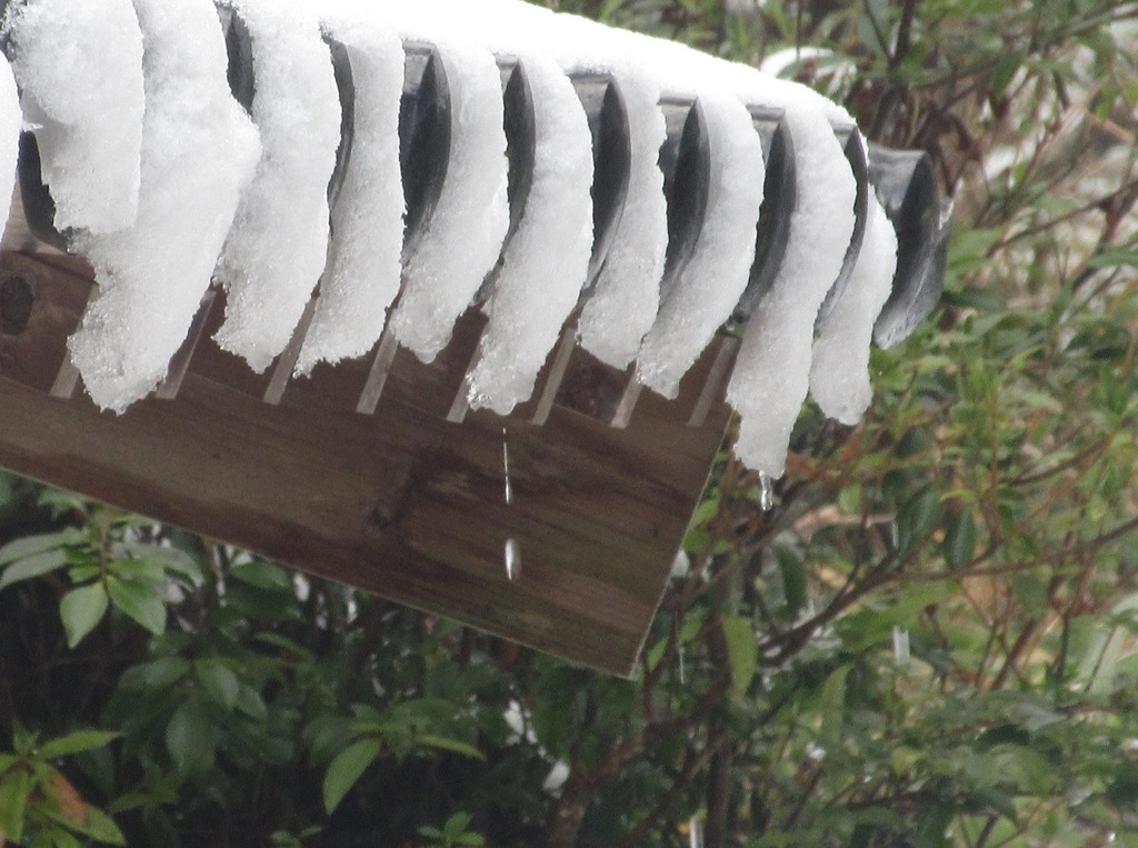 雪解け水③