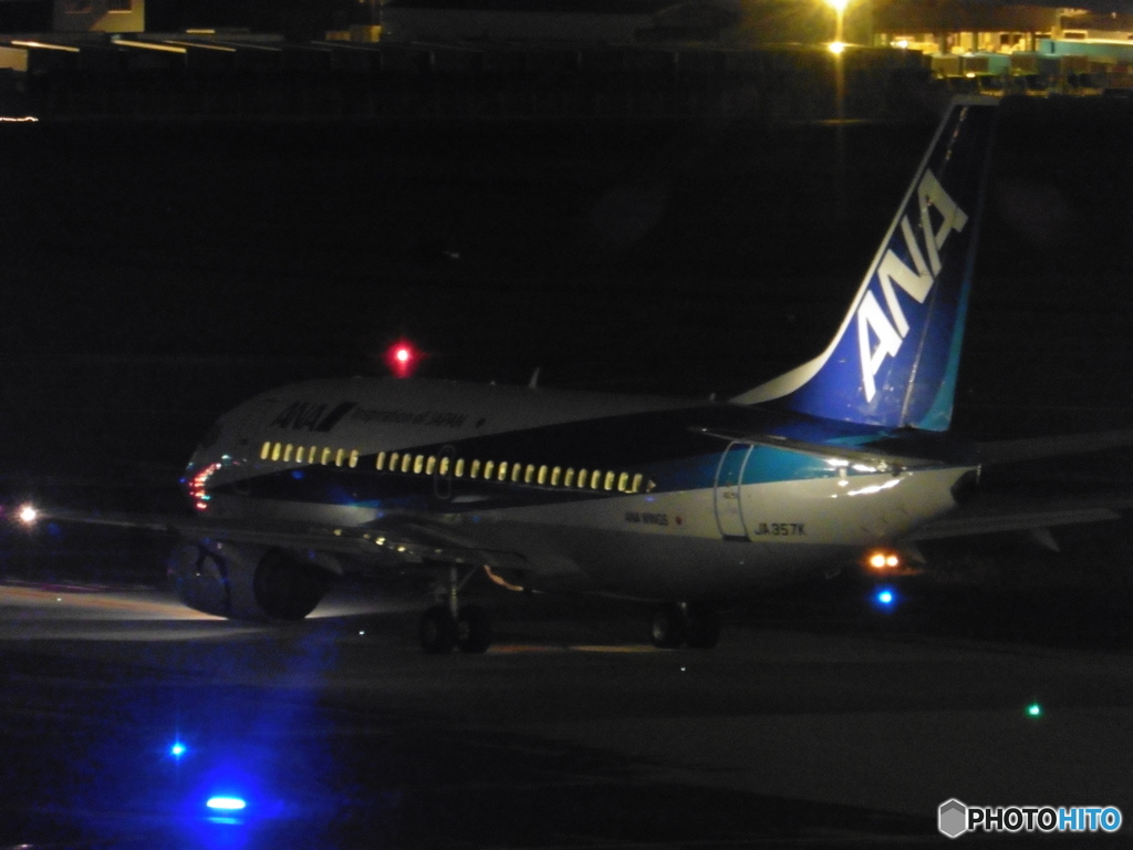 後ろからドルフィン