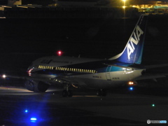 後ろからドルフィン