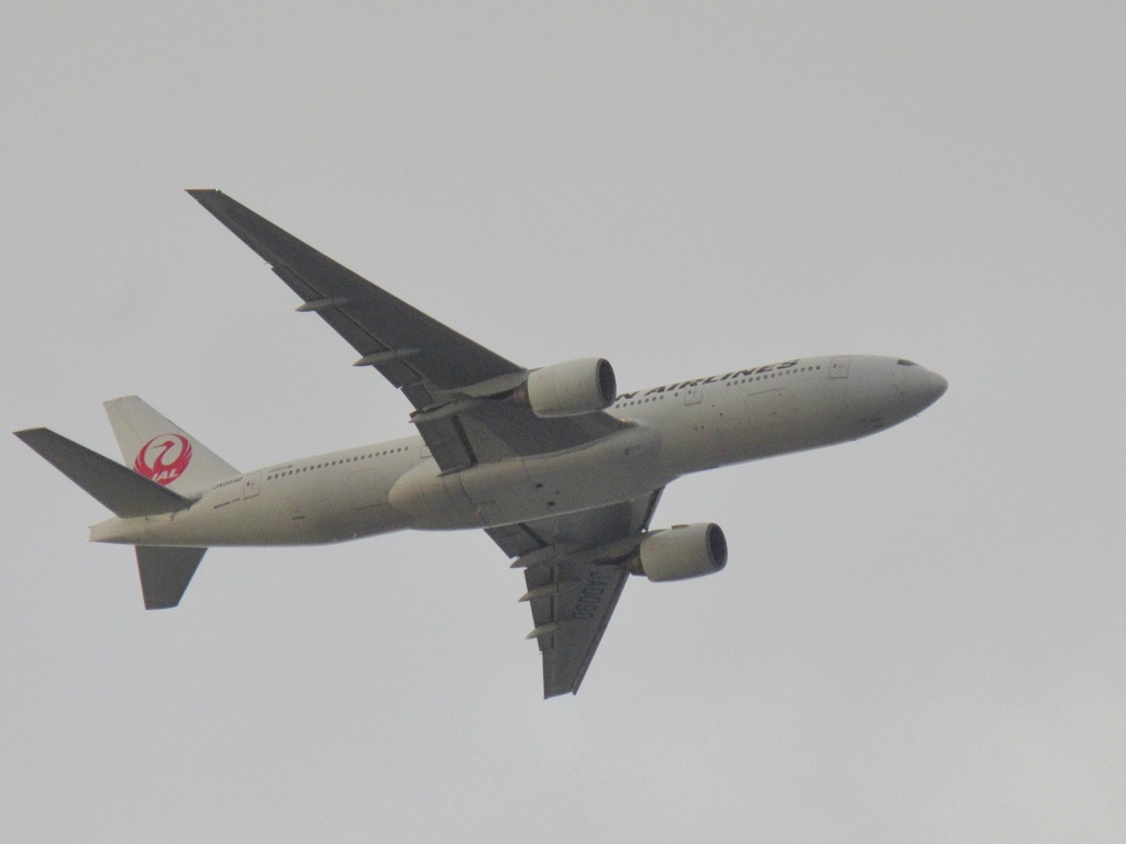 JAL  777-200  JA008D