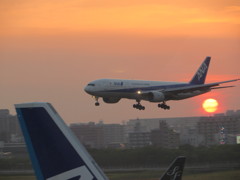 夕日をバックに着陸