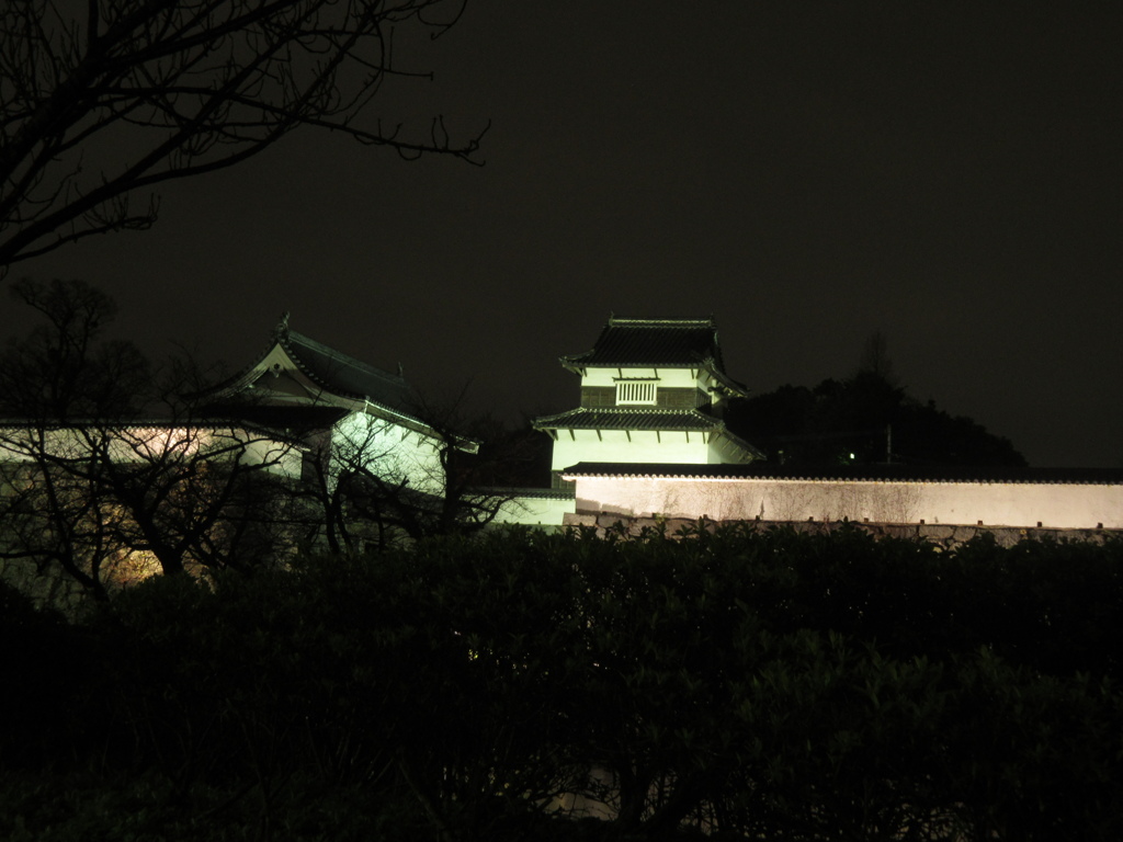 福岡城ライトアップ①