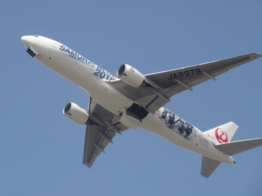 JAL SAMURAI BLUE 2018 ①