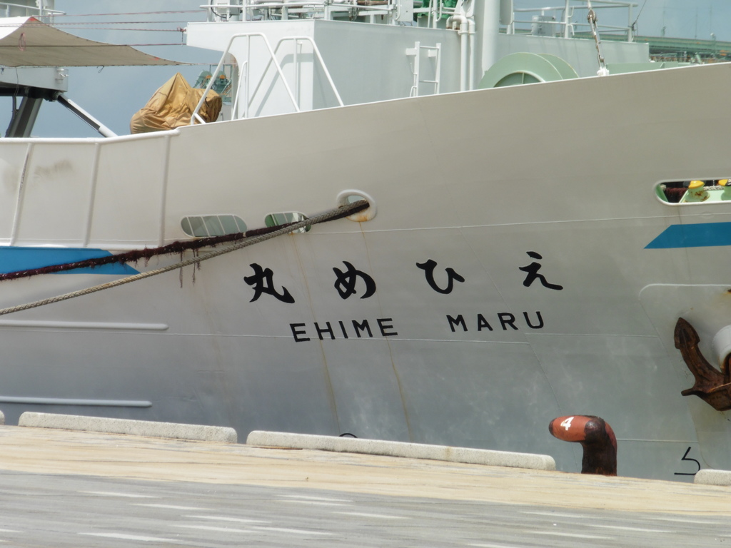 えひめ丸入港②