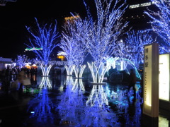 雨の夜のイルミネーション①