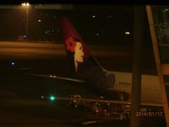ハワイアン航空のロゴマーク