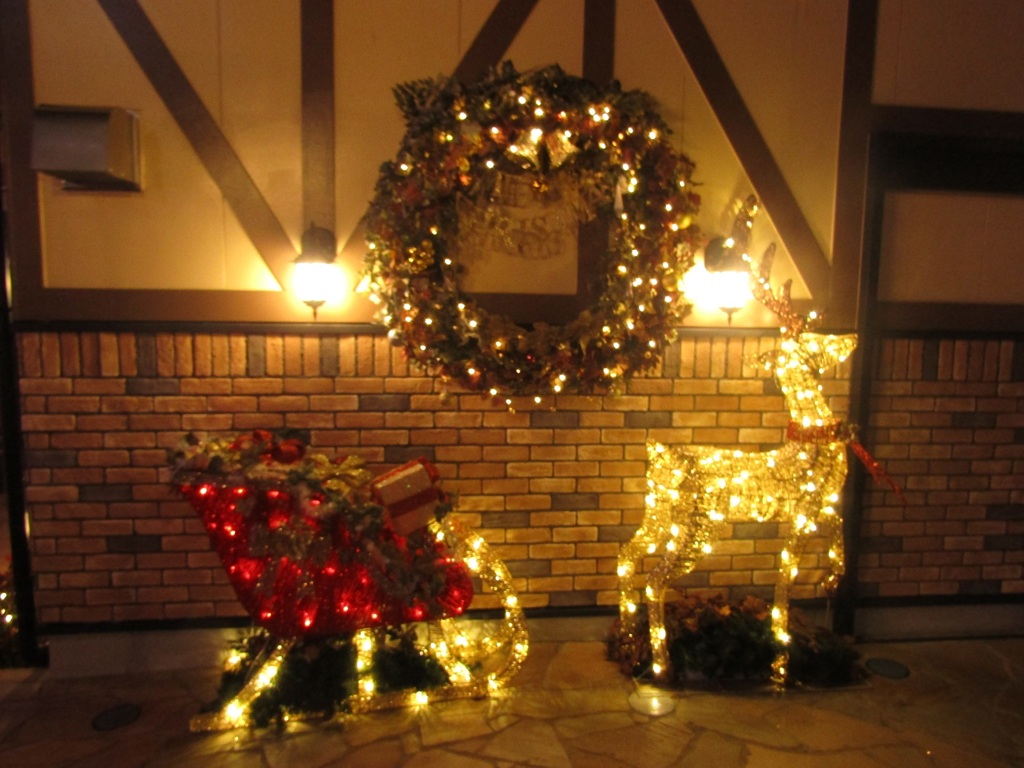 小倉紫川イルミネーション　⑨