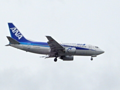 ANA  737-500  JA307K