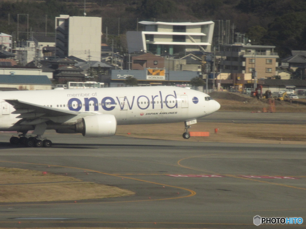 JAL  one world