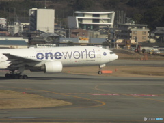 JAL  one world