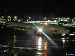 ANA　スターアライアンスの到着①