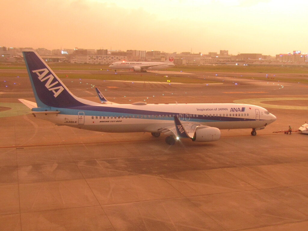 ANA  B737