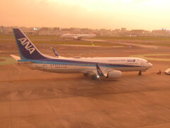 ANA  B737