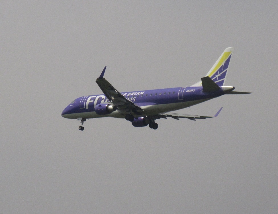 FDAパープルの着陸①