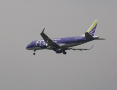 FDAパープルの着陸①