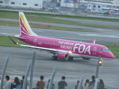 FDA　ローズピンクの到着