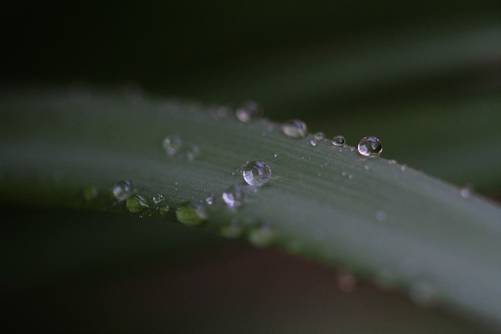 水滴