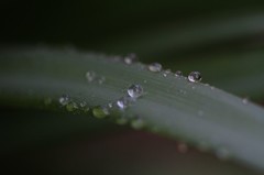 水滴